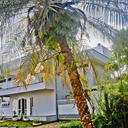 Casa Mani Bed & Breakfast อูบาตูบา ภายนอก รูปภาพ