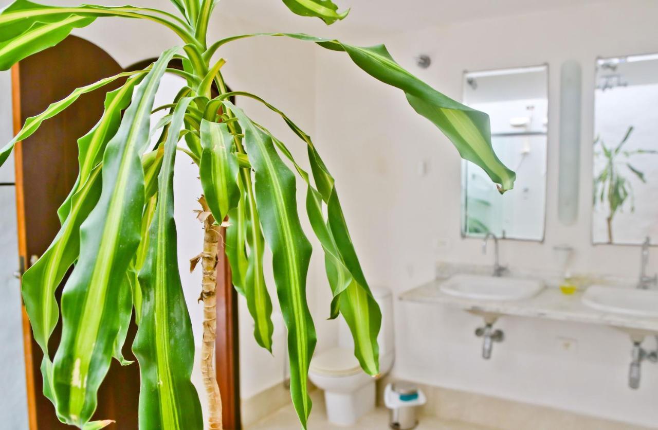 Casa Mani Bed & Breakfast อูบาตูบา ภายนอก รูปภาพ