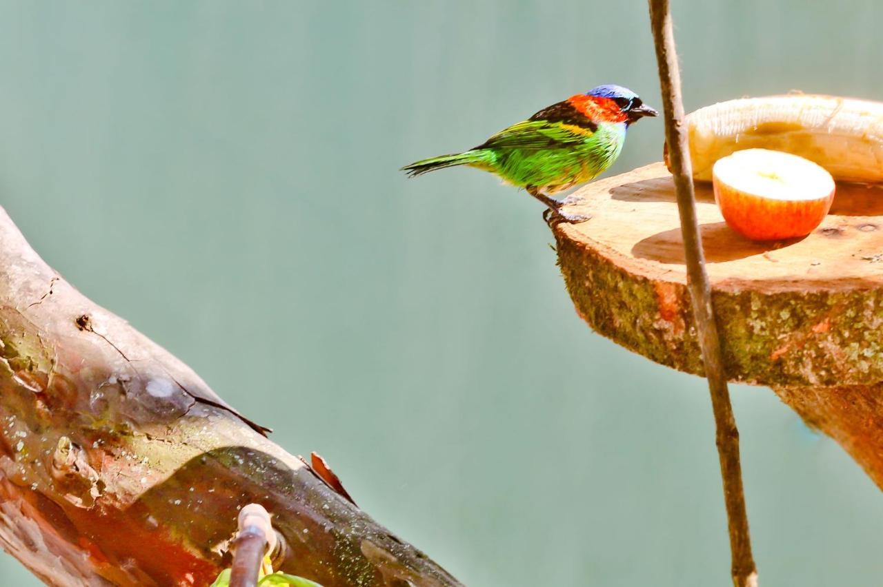 Casa Mani Bed & Breakfast อูบาตูบา ภายนอก รูปภาพ